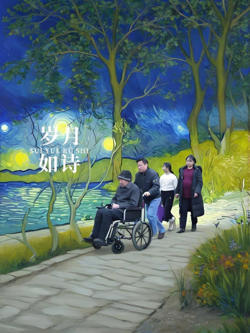 岁月如诗高清播放