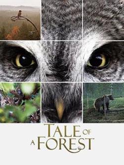 森之传说在线观看