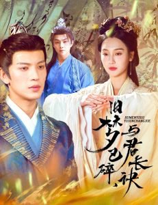 旧梦已碎，与君长诀＆终是深情错付君高清播放