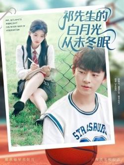 祁先生的白月光从未冬眠高清播放