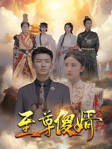 至尊傻婿高清播放