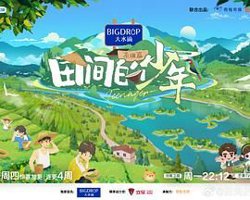 田间的少年 第二季在线观看