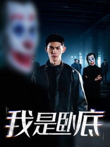 我是卧底短剧在线观看
