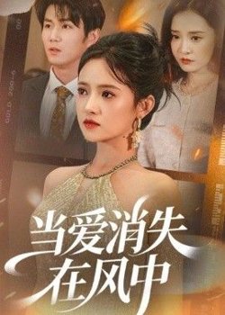 当爱消失在风中在线观看