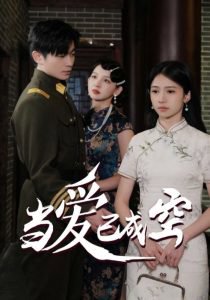 当爱已成空高清播放