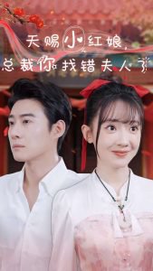天赐小红娘总裁你找错夫人了高清播放
