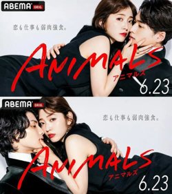 动物 ANIMALS在线观看