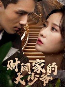财阀家的大少爷高清播放