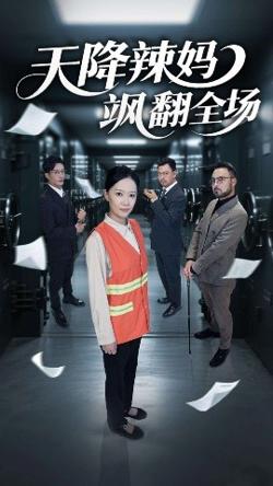 天降辣妈飒翻全场高清播放