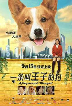 一条叫王子的狗高清播放