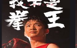 我不是拳王高清播放