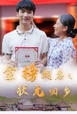 金榜题名之状元回乡高清播放