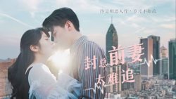 封总前妻太难追在线观看