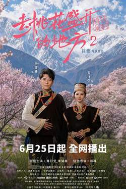 去桃花盛开的地方2在线观看