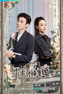 求求了，快复婚吧高清播放