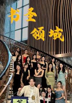 书圣领域高清播放