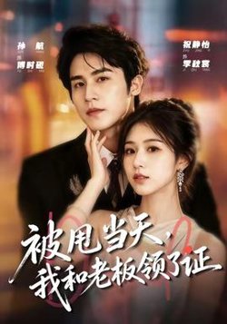 被甩当天，我和老板领了证在线观看
