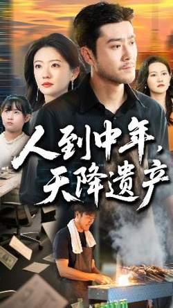 人到中年天降遗产高清播放