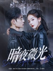 暗夜微光高清播放