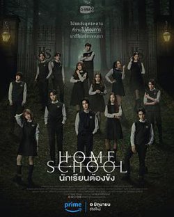家庭学校高清播放