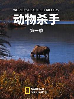 动物杀手第一季在线观看