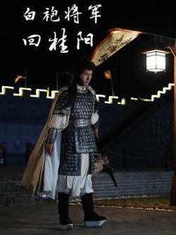 白袍将军回桂阳在线观看