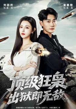 顶级狂枭,出狱即无敌