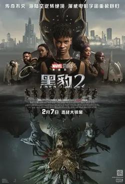 黑豹2【影视解说】在线观看