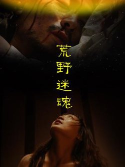 荒野迷魂高清播放