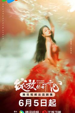 绽放的许开心【影视解说】高清播放