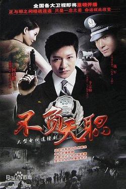 不负天职高清播放