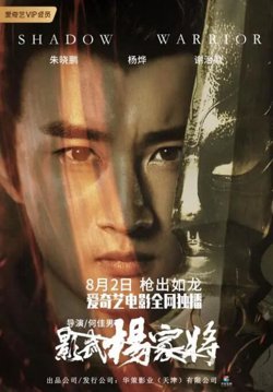 影武杨家将高清播放