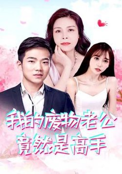 我的废物老公竟然是高手在线观看