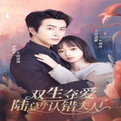 双生夺爱陆总你认错夫人了高清播放