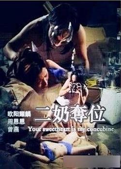 二奶夺位高清播放