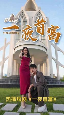 一夜首富高清播放