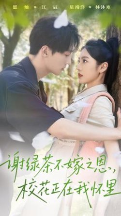 谢绿茶不嫁之恩校花正在我怀里高清播放
