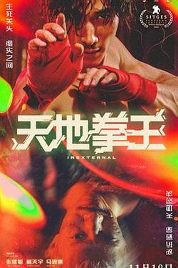 天地拳王粤语在线观看