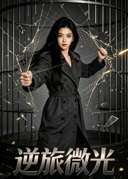 逆旅微光在线观看