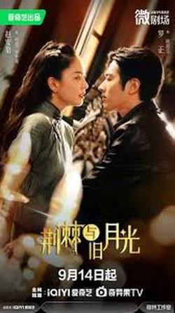 荆棘与月光