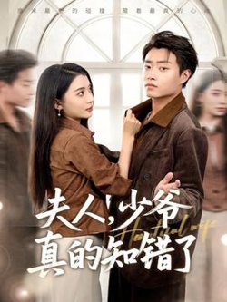 夫人，少爷真的知错了高清播放