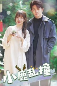 小鹿乱撞高清播放