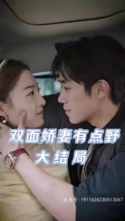 双面娇妻有点野在线观看
