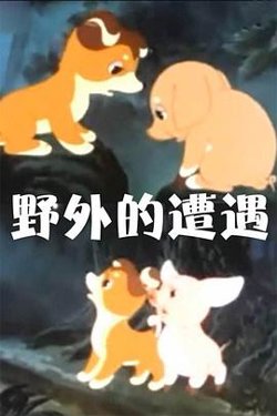野外的遭遇高清播放