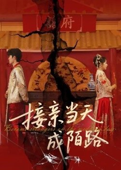 接亲当天成陌路高清播放