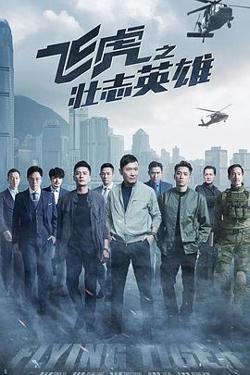 飞虎之壮志英雄国语高清播放
