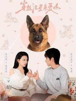 穿越汪星来爱你在线观看