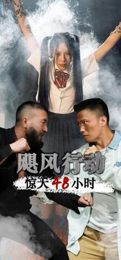 飓风营救惊天48小时高清播放