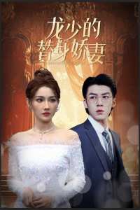龙少的替身娇妻高清播放