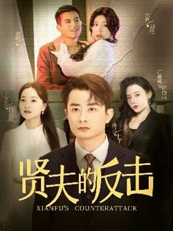 贤夫的反击高清播放